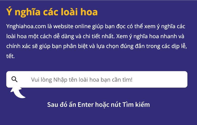 hướng dẫn sử dụng website ynghiahoa.com