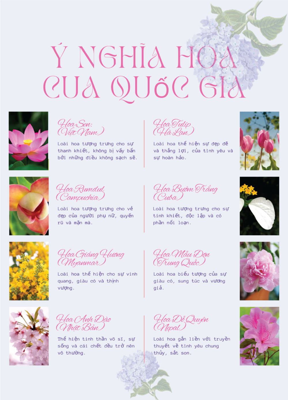 ý nghĩa các loài hoa của từng quốc gia