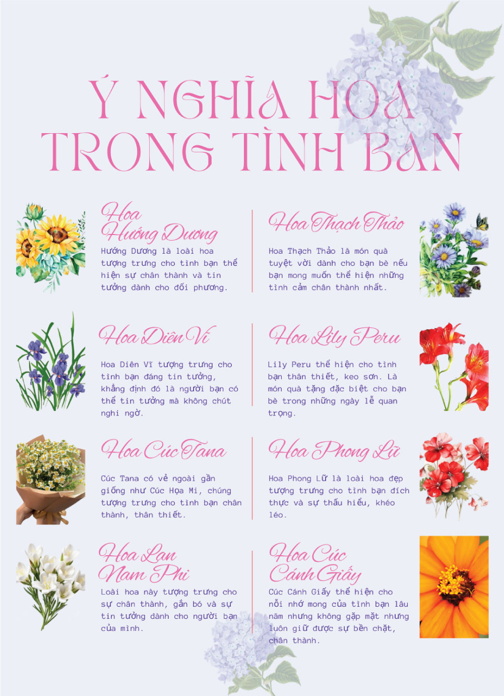 ý nghĩa các loài hoa về tình bạn