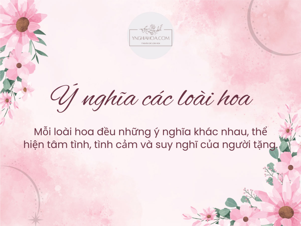 ý nghĩa các loai hoa