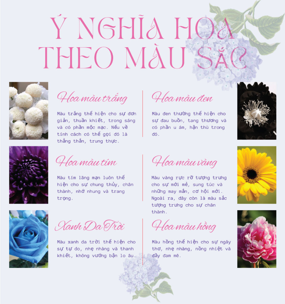 ý nghĩa các loài hoa theo màu sắc
