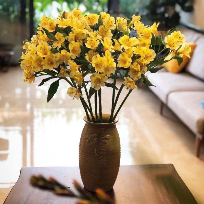 Cắm hoa thủy tiên trong phòng khách