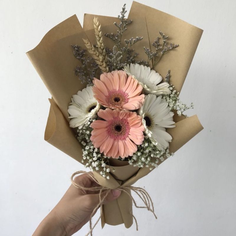 5 bông hoa cúc hồng và trắng