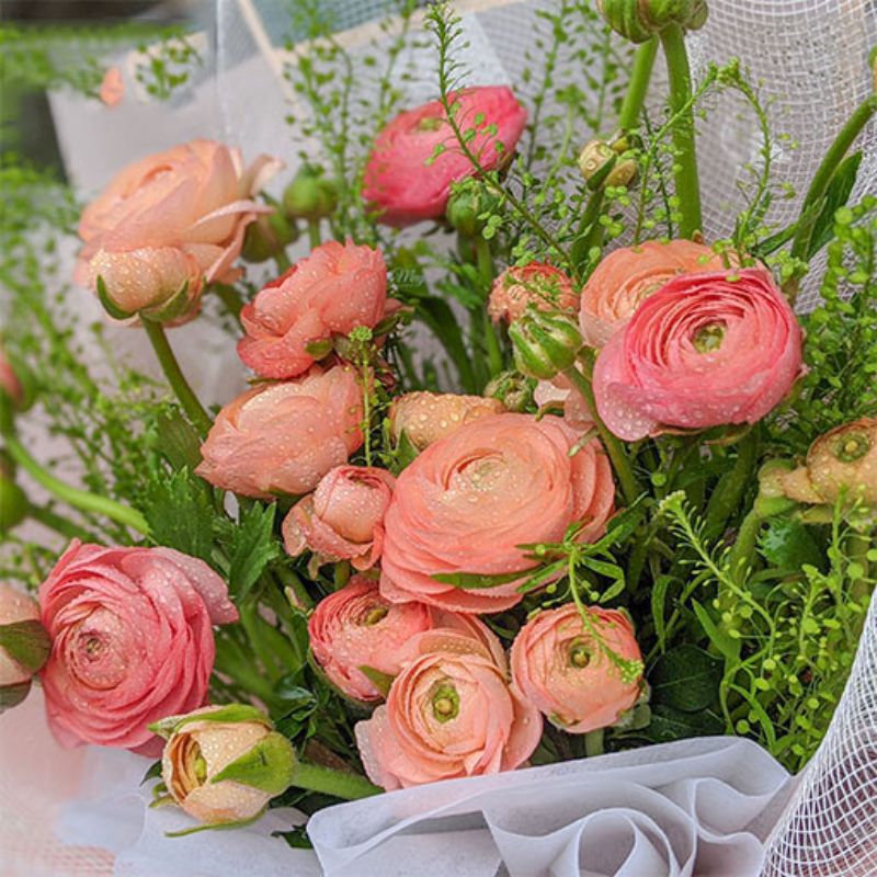 Hoa mao lương với vẻ đẹp đầy sang trọng