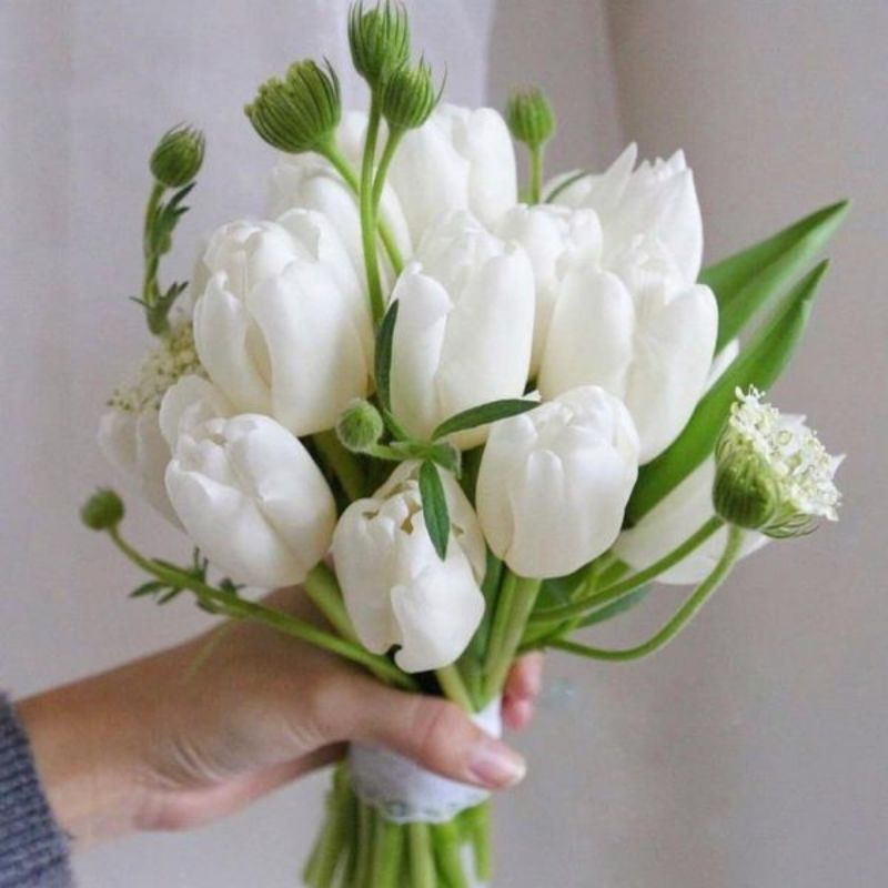 Hoa cưới tulip trắng tuyệt đẹp