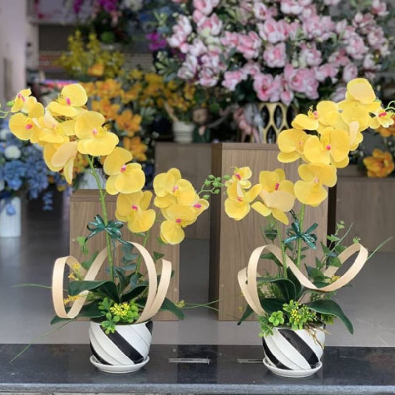 Tặng hoa lan sang trọng cho thầy cô