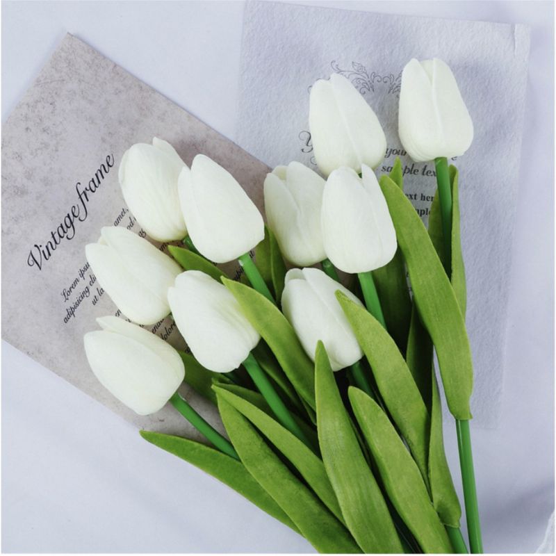 Hoa tulip trắng được dùng để xin lỗi