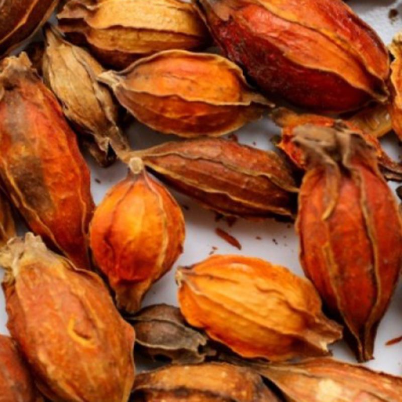 Bạch thiên hương là thành phần tạo ra những vị thuốc quý