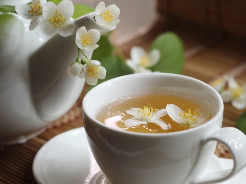 Hoa nhài không chỉ đẹp mà còn mang nhiều công dụng trong y học và đời sống, càng khiến người ta thêm tò mò về ý nghĩa hoa nhài là gì