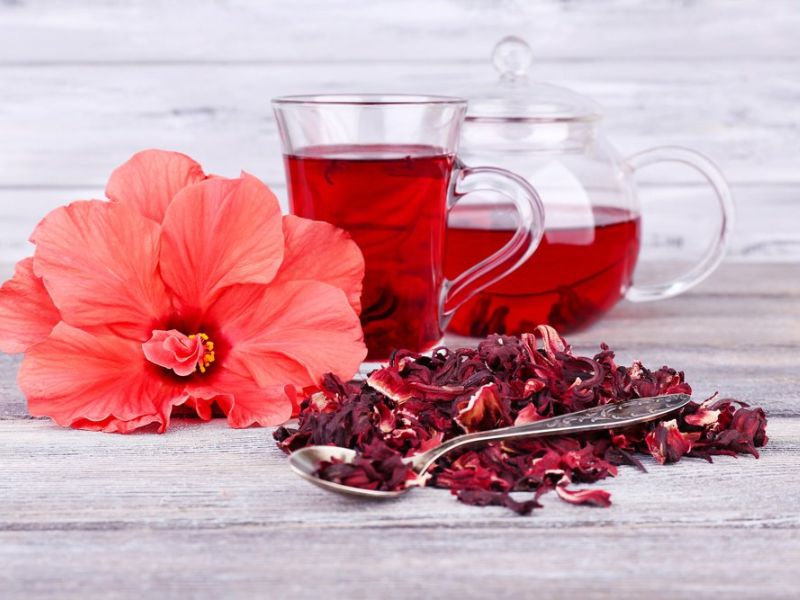 Hoa dâm bụt có thể chữa bệnh
