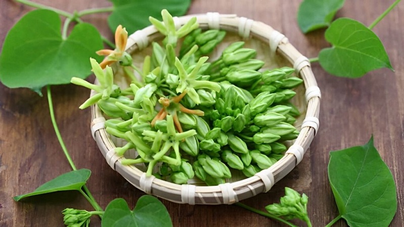 Tác dụng đối với sức khỏe