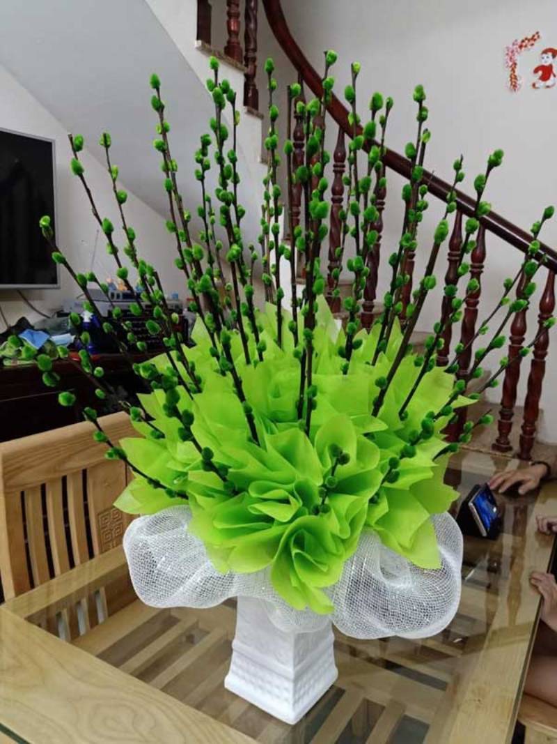 Nụ tầm xuân màu xanh