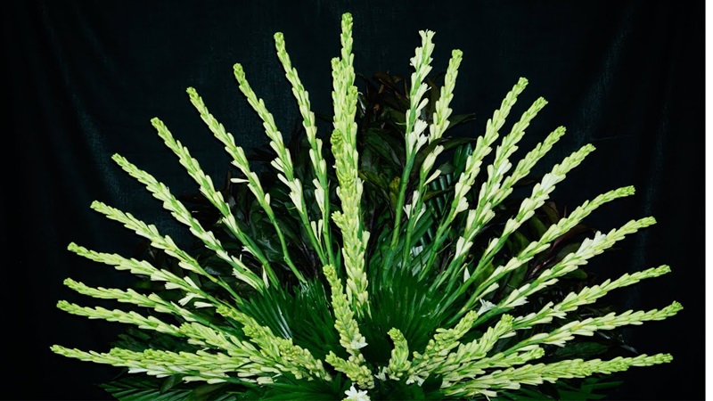 Cách cắm hoa huệ