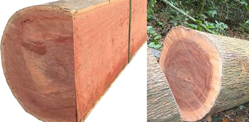 Dùng lấy gỗ làm nội thất