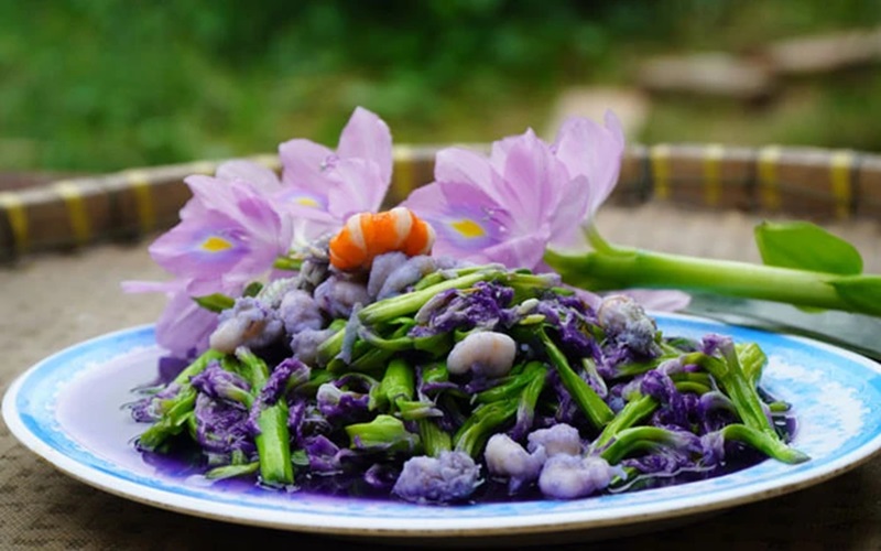 Ứng dụng trong đời sống
