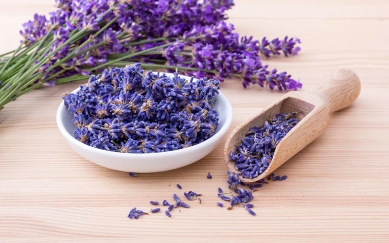 Hoa Oải Hương khô