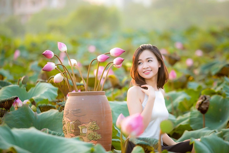 Ý nghĩa của hoa Sen đối với văn hóa Việt Nam