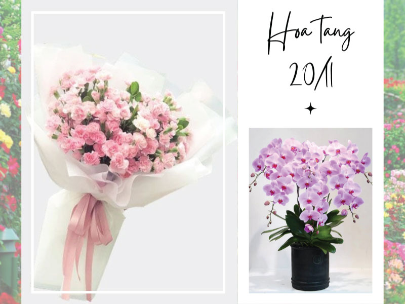 Bật mí ý nghĩa các loài hoa cho ngày 20/11 tặng thầy cô