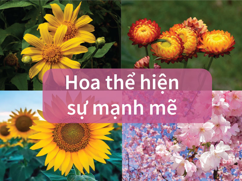 Top 6 loài hoa tượng trưng cho sự mạnh mẽ