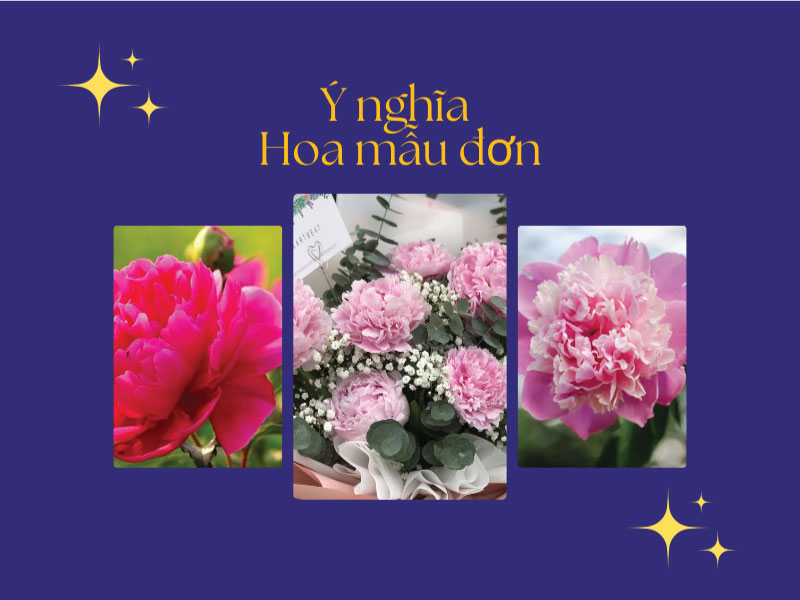 Ý nghĩa hoa mẫu đơn trong phong thuỷ có thể bạn chưa biết?