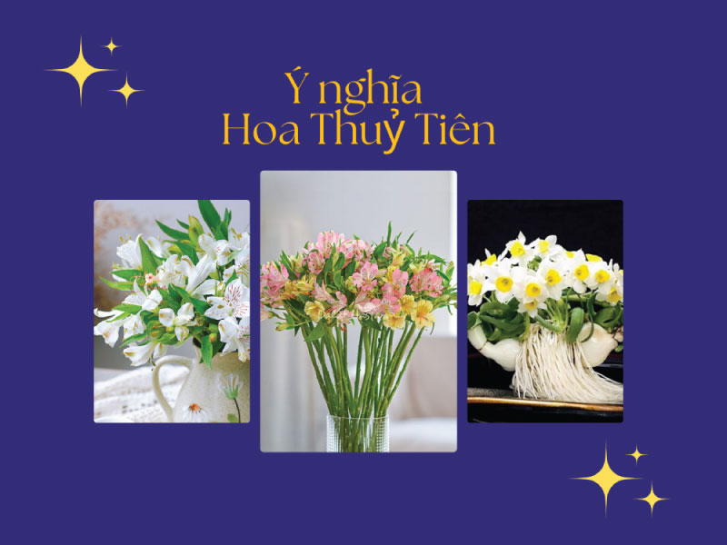 Ý nghĩa hoa Thủy Tiên, đặc điểm, cách trồng và chăm sóc