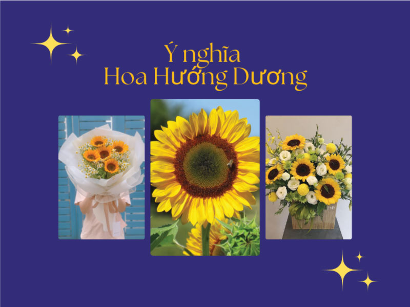 Ý Nghĩa Hoa Hướng Dương – Biểu Tượng Của Niềm Tin Và Sức Sống Mãnh Liệt