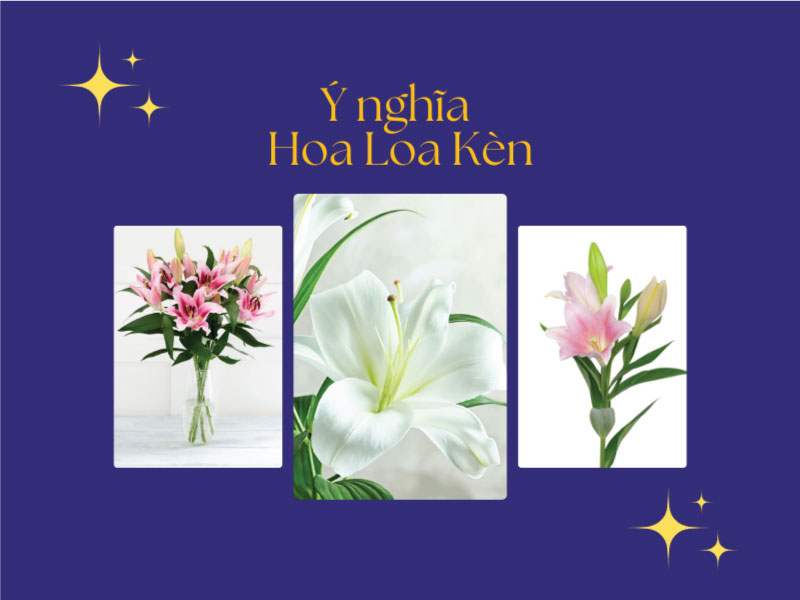 Ý nghĩa hoa Loa Kèn, hoa nở vào mùa nào?