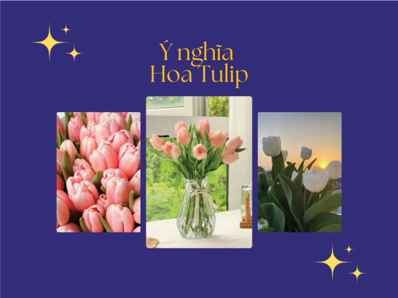 Ý NGHĨA HOA TULIP – LOÀI HOA THANH LỊCH BIỂU TƯỢNG CHO TÌNH YÊU VÀ HẠNH PHÚC